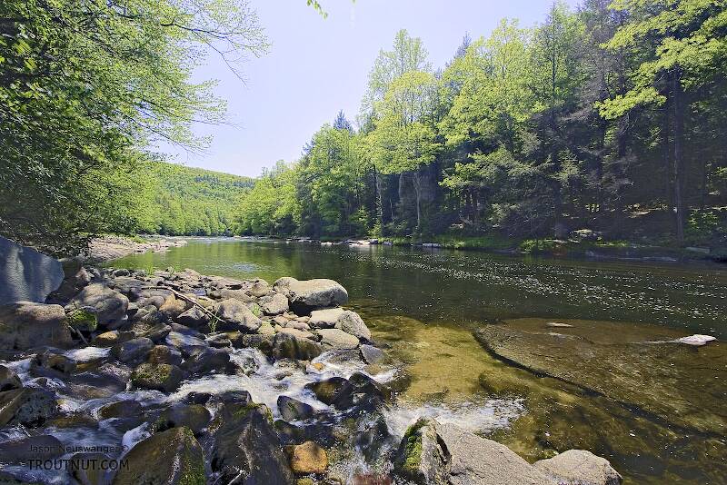 The Neversink River Gorge in New York