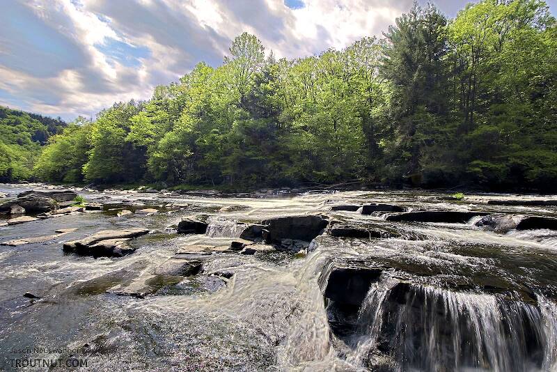 The Neversink River Gorge in New York