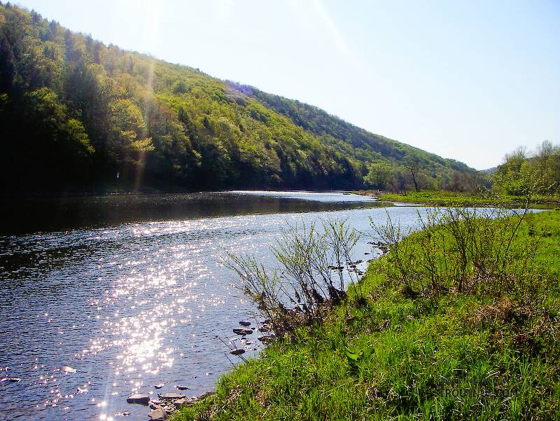 The West Branch of the Delaware River in New York