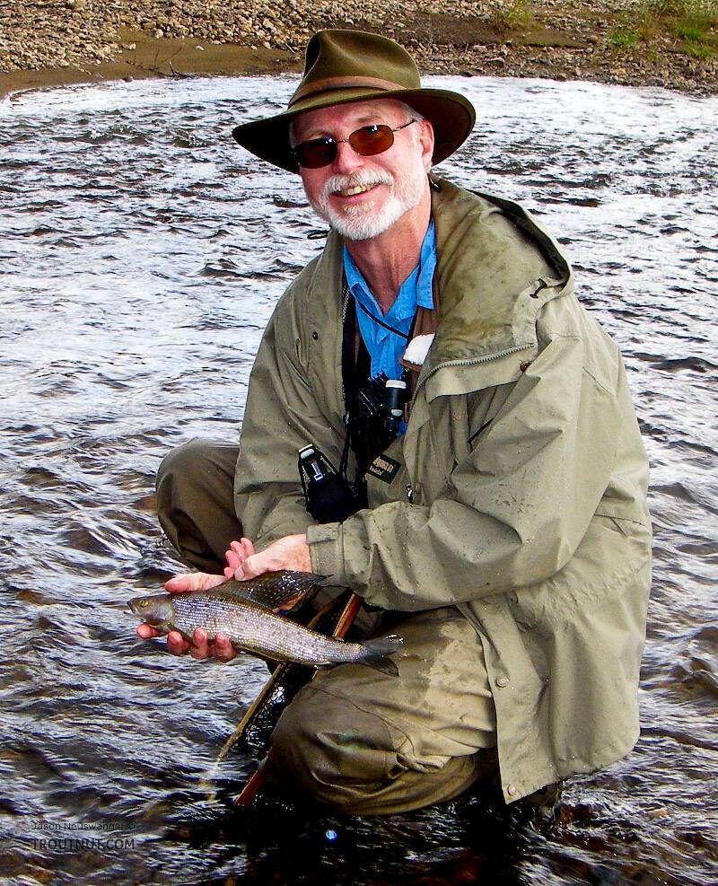 My dad's first arctic grayling.

From the Chatanika River in Alaska