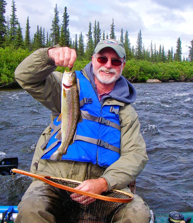 This is my dad's first wild Alaskan rainbow trout.