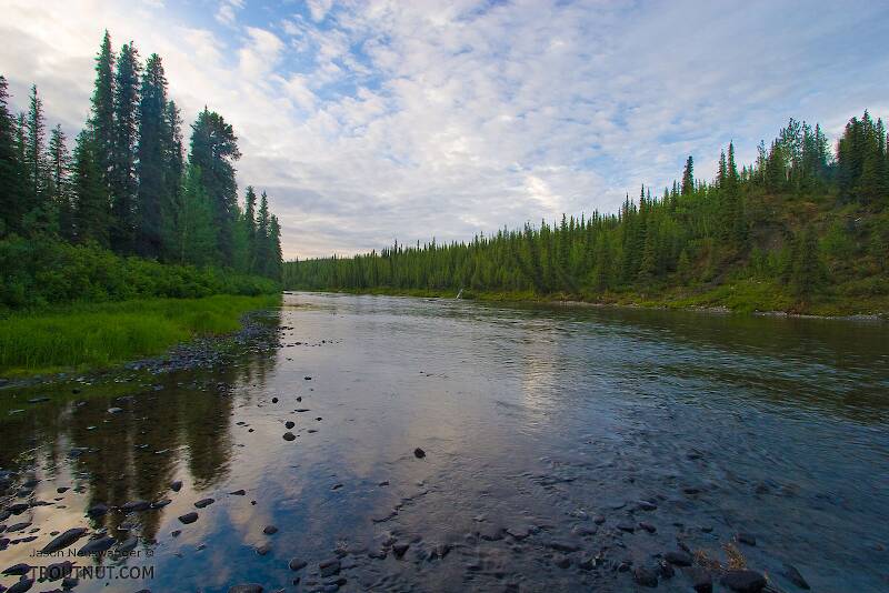 The Gulkana River in Alaska