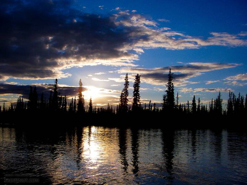 The sun slooowly sets over a crystal-clear grayling stream.

From the Delta Clearwater River in Alaska