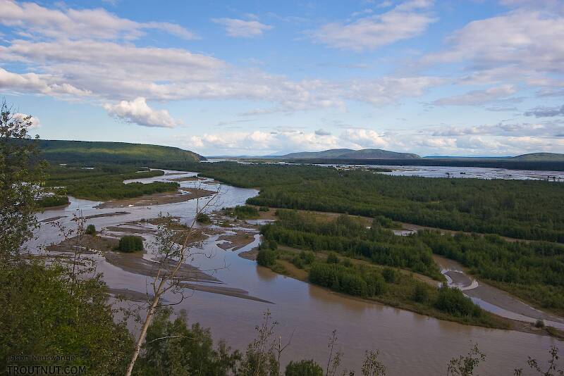 The Tanana River in Alaska