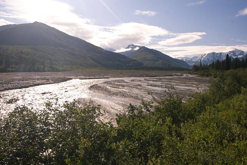 The Delta River tributary in Alaska