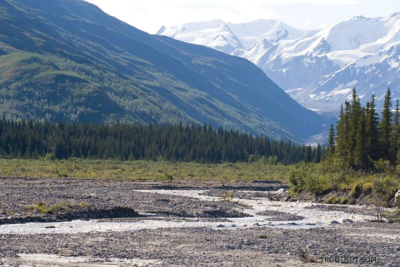 The Delta River tributary in Alaska