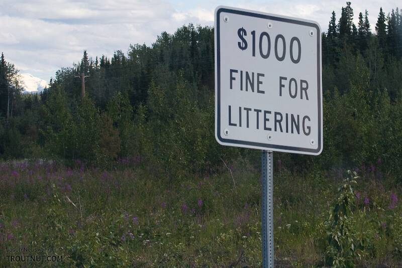 Alaska has the right idea here.  I would like to see them add another digit to that number, but they're still doing pretty well compared to everyone else in that regard.  It shows, too -- there doesn't seem to be very much litter along this highway.

From Richardson Highway in Alaska