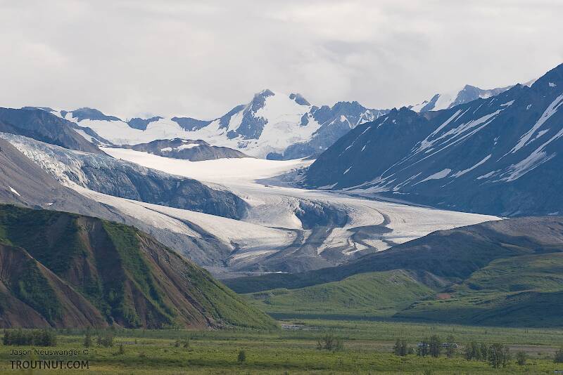 The Gulkana Glacier is an iconic landmark for north-bound travelers (or, I suppose, south-bound travelers looking north) on the Richardson Highway.  Thankfully, its silty runoff drains not into the Gulkana River drainage but into Phelan Creek in the Yukon drainage instead.

From Richardson Highway near Summit Lake in Alaska