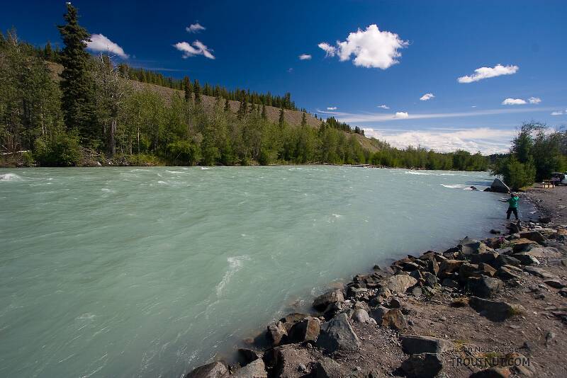 This glacial river's blue-green water is incredibly opaque, but much prettier than the gray-brown of most other glacial rivers.  It is also fishable, though I prefer more clarity.

From the Klutina River in Alaska