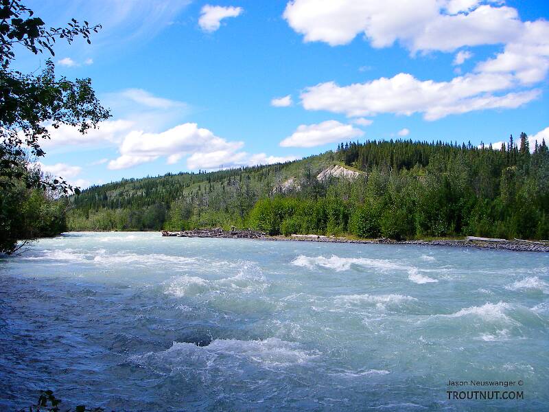 The Klutina River in Alaska