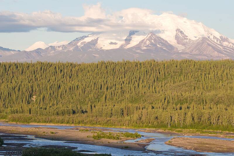 The Copper River in Alaska