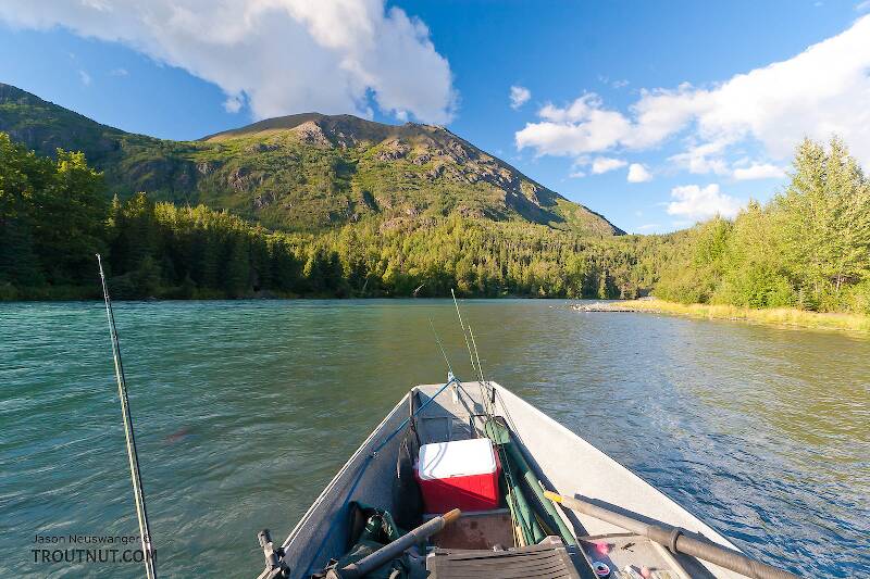 The Kenai River in Alaska