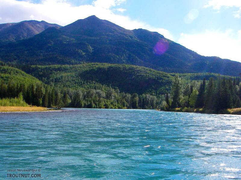 The Kenai River in Alaska
