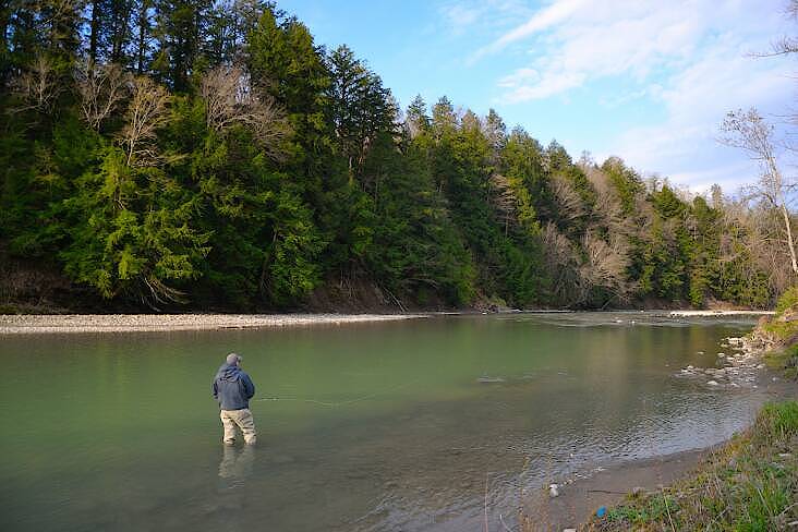 This is a picture of Cattaraugus Creek so you can get an idea of the size of it. It is a gorgeous river (they call it a creek but it is big water that could suck you down in a heartbeat) Check out cattaruagusoutfitters.com if you want to see more pictures of the river and some awesome steelhead.