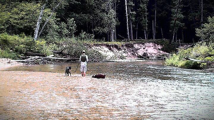 Fishing the Pine River (with some help from my two dogs)