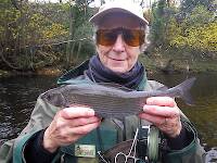 One of the larger ones caught; day 1 on the River Nidd at Summer Bridge.