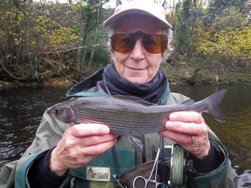 One of the larger ones caught; day 1 on the River Nidd at Summer Bridge.