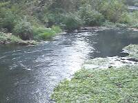Sorry for the low quality photo.....but this is the catch and release stream in Montauk State Park.