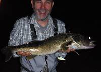 Marvin caught this walleye one evening.  It was 26" (measured)