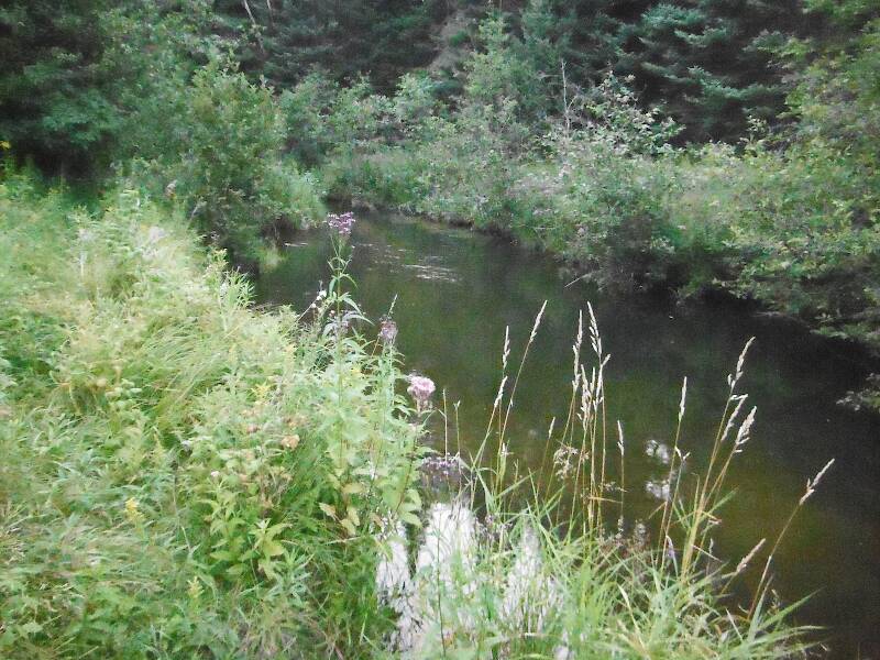 The first "Rearing Pond" - an obviously artificially deep hole that was supposedly dug out for rearing trout - the rest of the stream is ankle-to-knee deep with occasional areas that get waist to maybe chest deep...but this goes over my head, I know because I took a swim!!!
