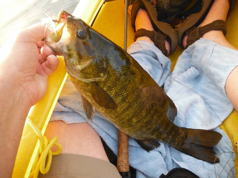 Nice fat Cooke Pond smallie