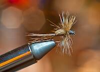 First fly, after 12 years away from the bench.