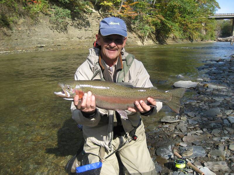 Lovely colored mid October steelhead.  Was surprised it was so colorful for so early in the season.