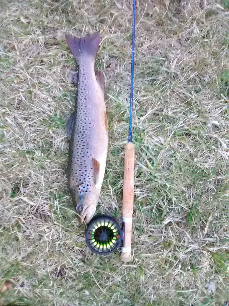 A bit bigger than the ones I caught last weekend...17"