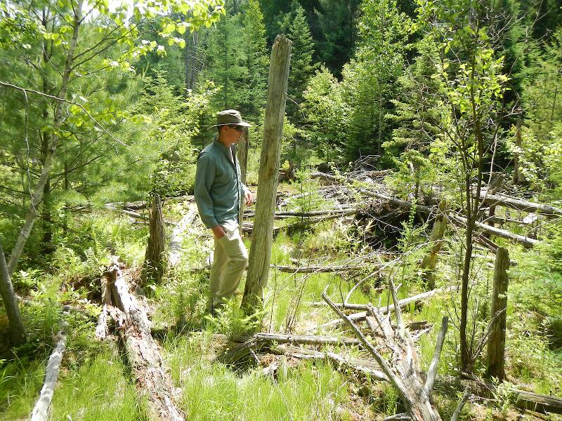 Todd in the Coppler Creek Canyon above the powerline cut, a serious bushwhack...but there's brookies in there!