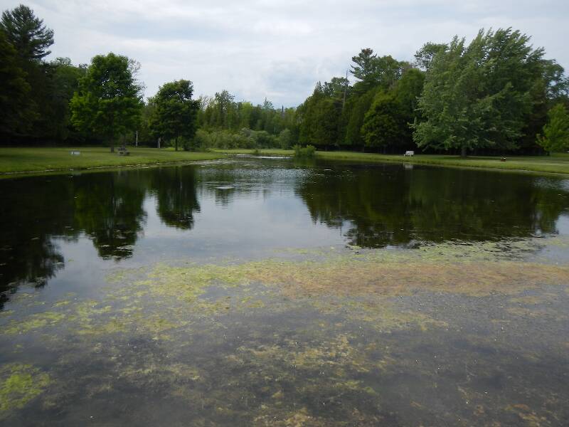 Are there really ANY trout in this scuzzy-looking pond???