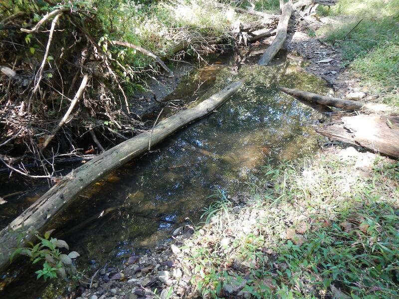 Side channel - high habitat diversity in a small stream & it showed in the biota