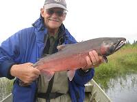 Johnson Creek Alaska buck silver salmon