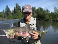 Johnson Creek Alaska chum salmon