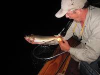 My friend Jim holding my last Brown of the evening and this trip up. We both had fished over this one with no luck when he finally took my offering. We caught this just as another boat was sliding by in the dark. I yelled, "There he is Jimmy!" and they were waiting down at the take out and asked how big it was.