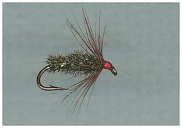 Red Hackle