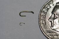 Here is the hook again, with a dime to give perspective.  I had another shot with a ruler, but it got inadvertently deleted.  It is 2.0 mm long, compared with the 6-mm long size-26.