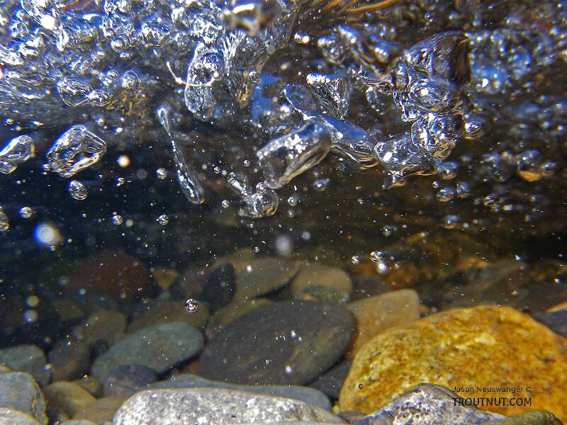 This flash photo freezes the turbulent underside of a shallow riffle in a clear trout stream.

From Salmon Creek in New York