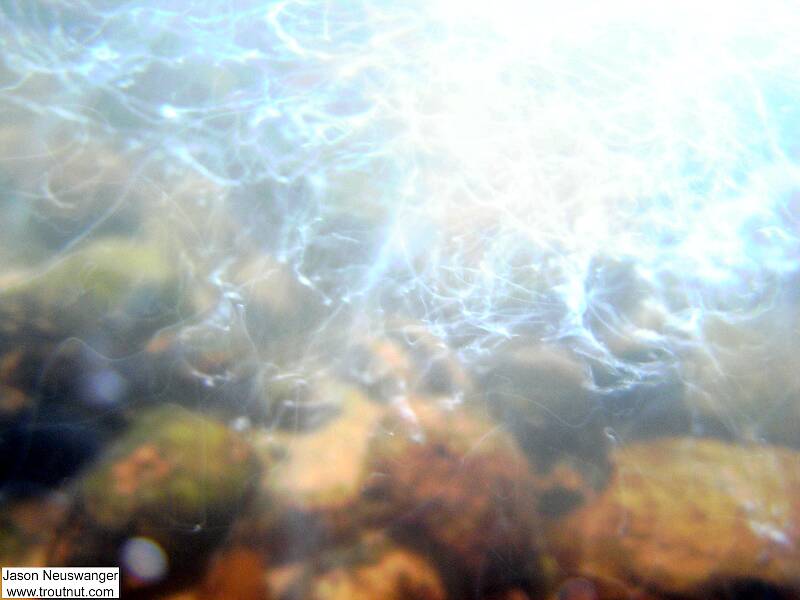 Light reflected from air bubbles left ghostly wisps in this fairly long exposure picture beneath a riffle.  It's got an accidental artistic look.

From Eighteenmile Creek in Wisconsin